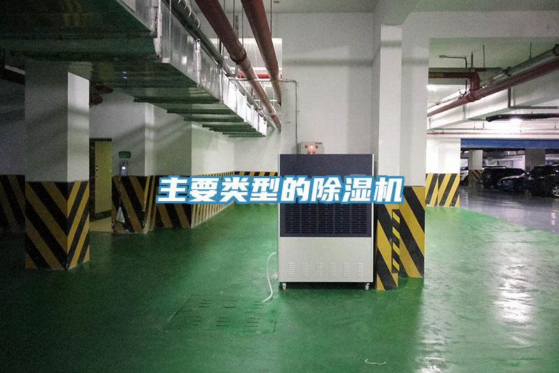 主要类型的猫咪成人官网