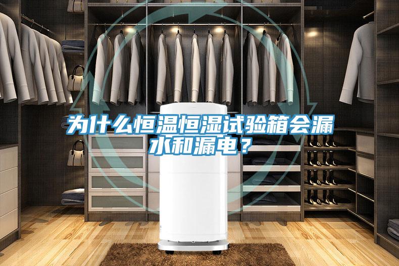 为什么恒温恒湿试验箱会漏水和漏电？