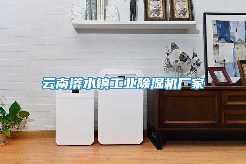 云南漭水镇工业猫咪成人官网厂家
