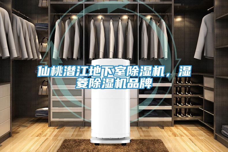 仙桃潜江地下室猫咪成人官网，湿菱猫咪成人官网品牌