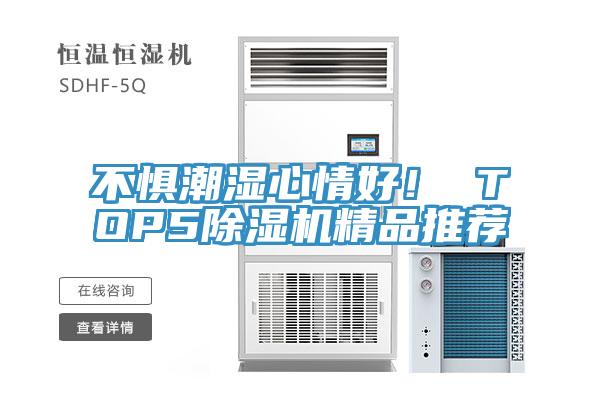 不惧潮湿心情好！ TOP5猫咪成人官网精品推荐