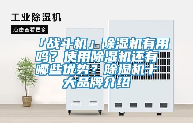 「战斗机」猫咪成人官网有用吗？使用猫咪成人官网还有哪些优势？猫咪成人官网十大品牌介绍