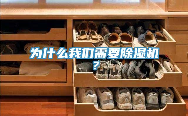 为什么猫咪成人在线视频需要猫咪成人官网？