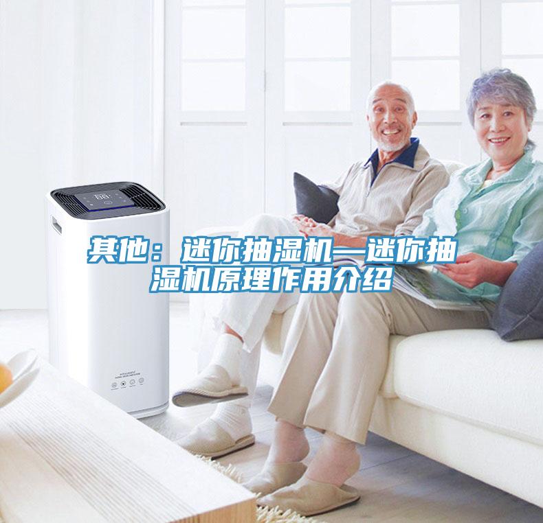 其他：迷你抽湿机—迷你抽湿机原理作用介绍