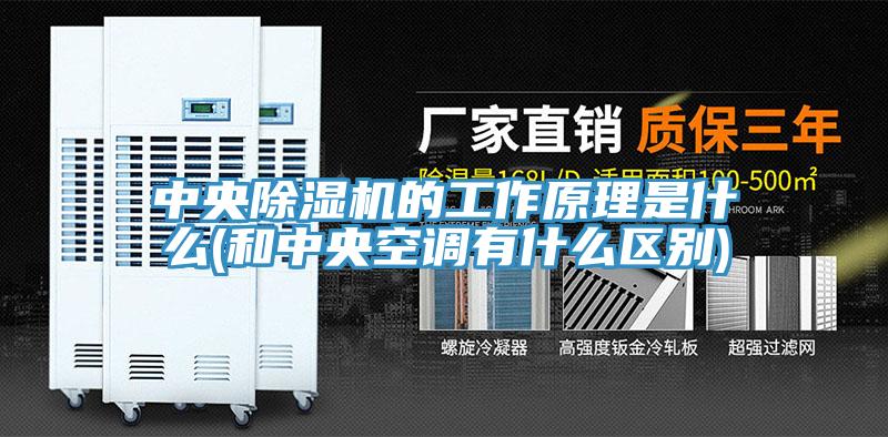 中央猫咪成人官网的工作原理是什么(和中央空调有什么区别)