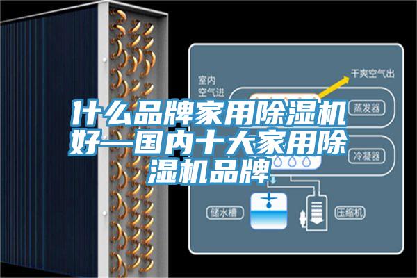 什么品牌家用猫咪成人官网好—国内十大家用猫咪成人官网品牌