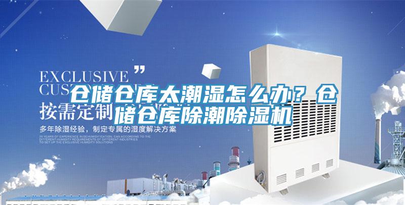 仓储仓库太潮湿怎么办？仓储仓库除潮猫咪成人官网