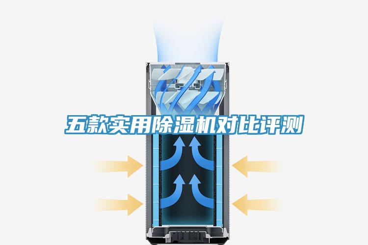 五款实用猫咪成人官网对比评测