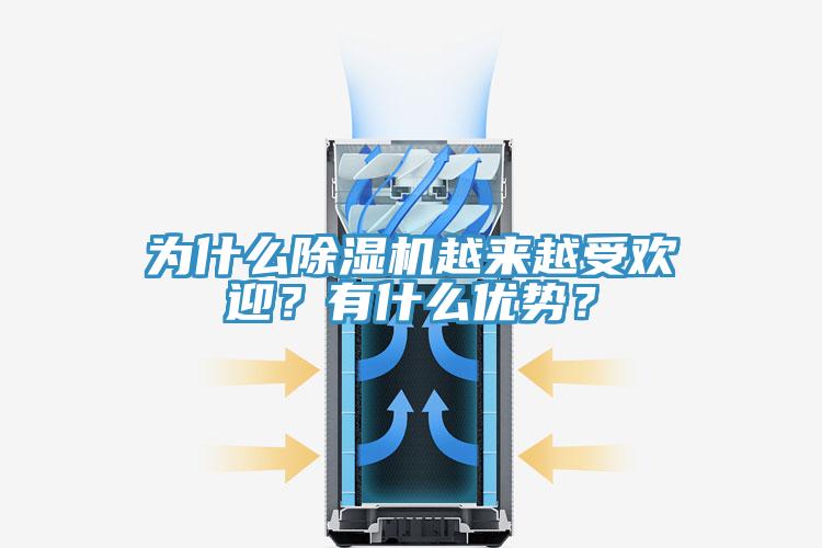 为什么猫咪成人官网越来越受欢迎？有什么优势？