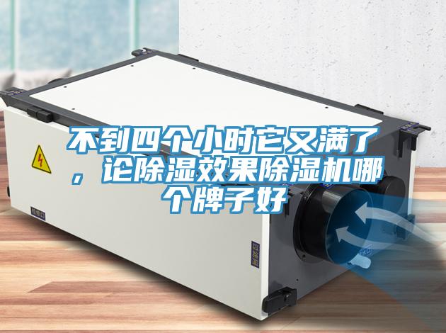 不到四个小时它又满了，论除湿效果猫咪成人官网哪个牌子好