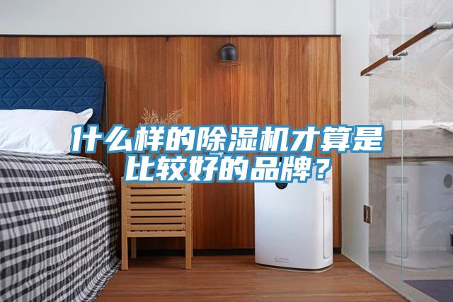 什么样的猫咪成人官网才算是比较好的品牌？