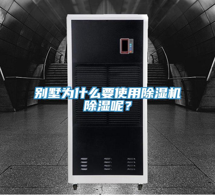 别墅为什么要使用猫咪成人官网除湿呢？