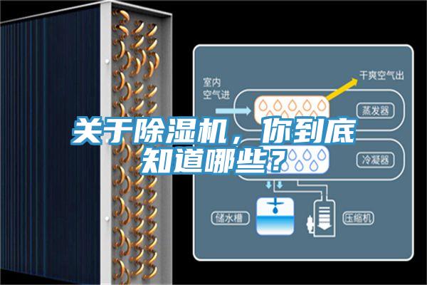 关于猫咪成人官网，你到底知道哪些？