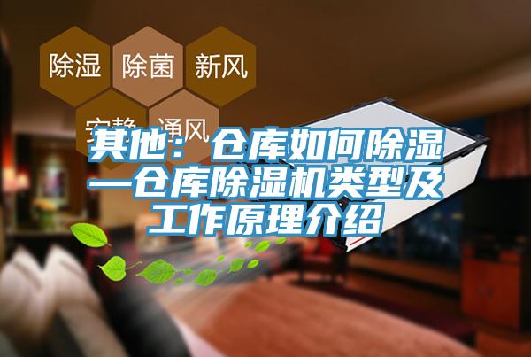其他：仓库如何除湿—仓库猫咪成人官网类型及工作原理介绍