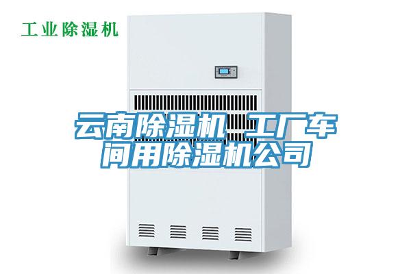 云南猫咪成人官网 工厂车间用猫咪成人官网公司