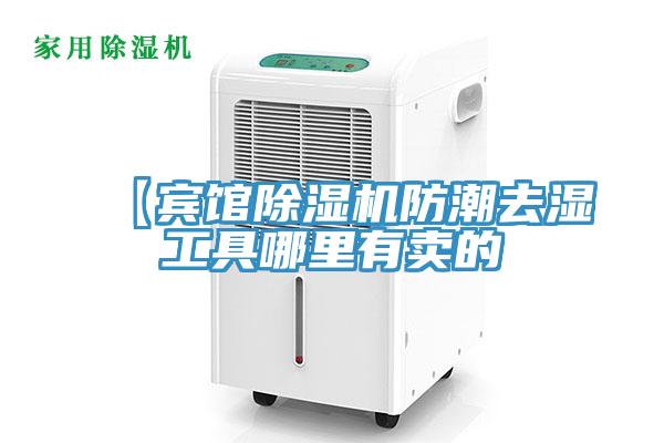 【宾馆猫咪成人官网防潮去湿工具哪里有卖的