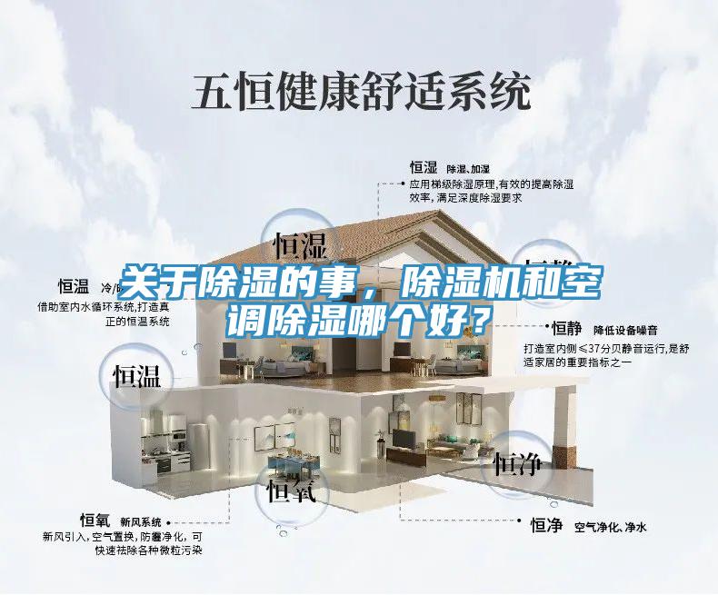 关于除湿的事，猫咪成人官网和空调除湿哪个好？