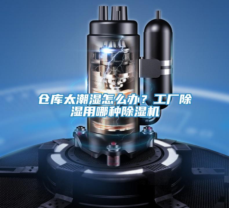 仓库太潮湿怎么办？工厂除湿用哪种猫咪成人官网