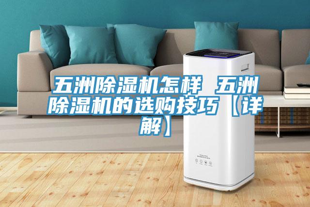 五洲猫咪成人官网怎样 五洲猫咪成人官网的选购技巧【详解】