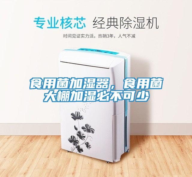 食用菌加湿器，食用菌大棚加湿必不可少