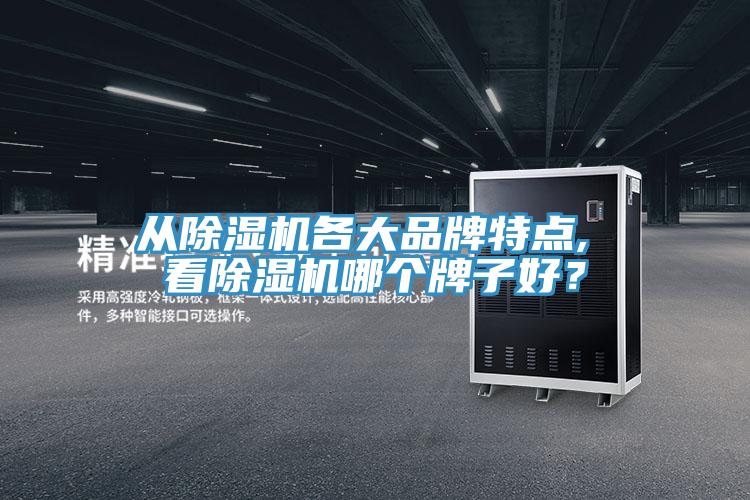 从猫咪成人官网各大品牌特点, 看猫咪成人官网哪个牌子好？