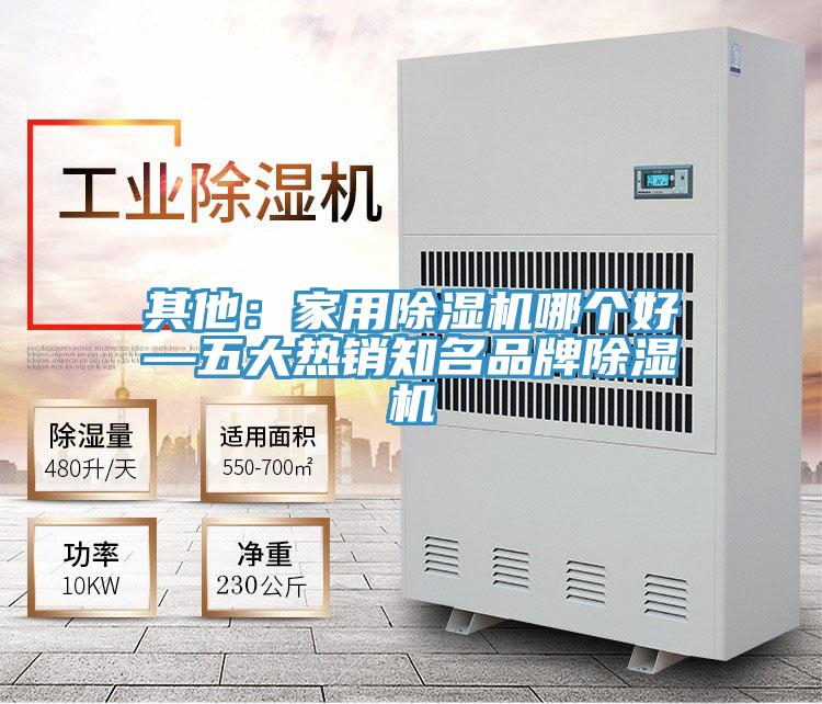 其他：家用猫咪成人官网哪个好—五大热销知名品牌猫咪成人官网