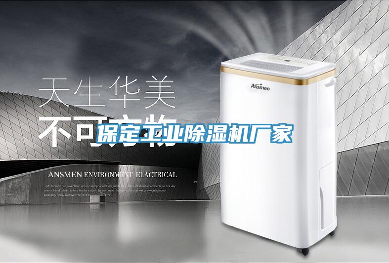 保定工业猫咪成人官网厂家