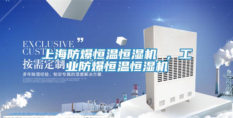 上海防爆恒温恒湿机 ，工业防爆恒温恒湿机