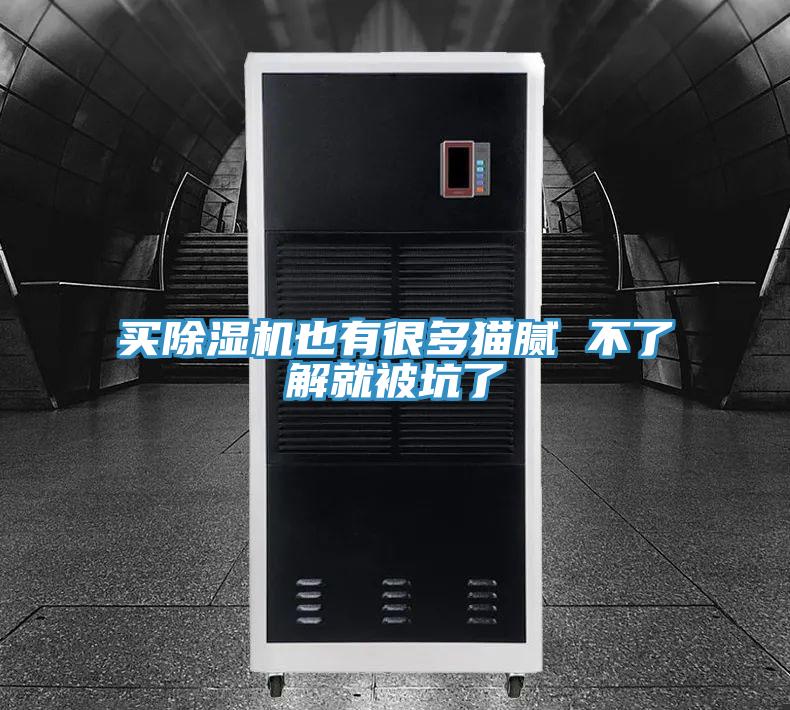 买猫咪成人官网也有很多猫腻 不了解就被坑了