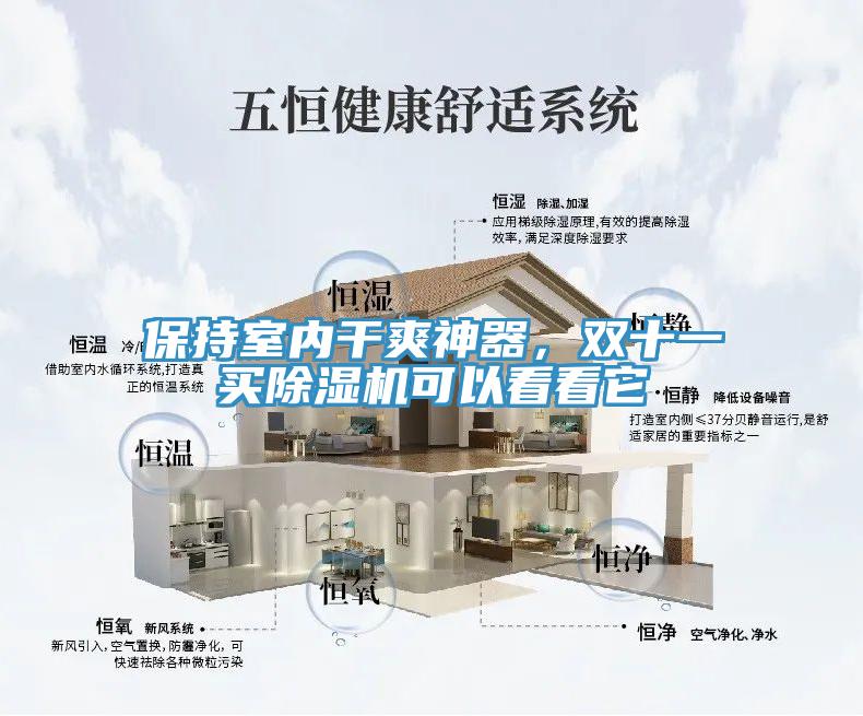 保持室内干爽神器，双十一买猫咪成人官网可以看看它
