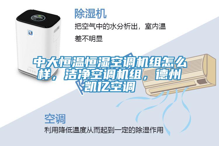 中大恒温恒湿空调机组怎么样，洁净空调机组，德州凯亿空调