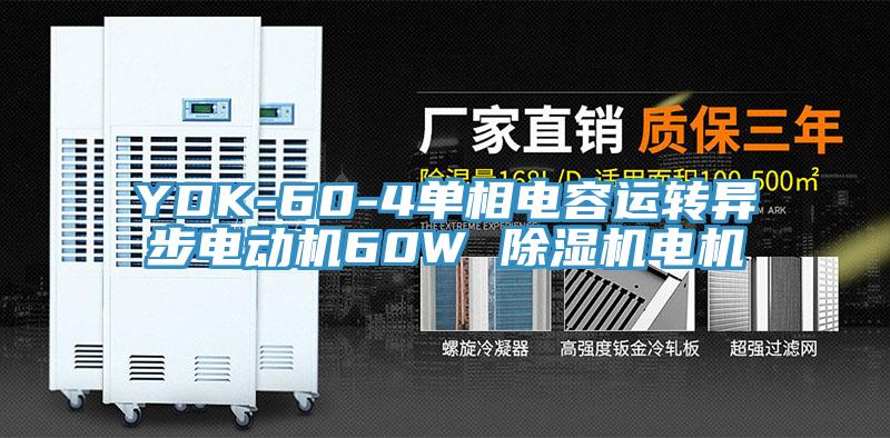 YDK-60-4单相电容运转异步电动机60W 猫咪成人官网电机