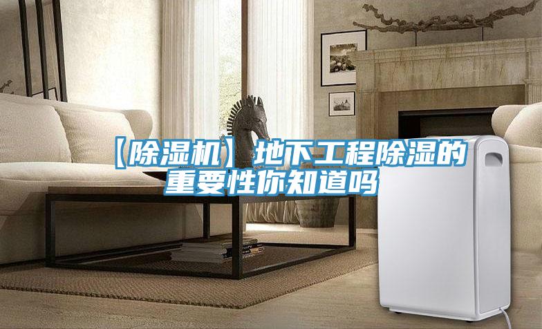 【猫咪成人官网】地下工程除湿的重要性你知道吗