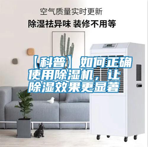 【科普】如何正确使用猫咪成人官网，让除湿效果更显著