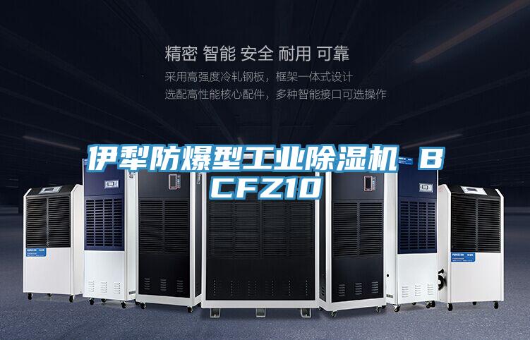 伊犁防爆型工业猫咪成人官网 BCFZ10
