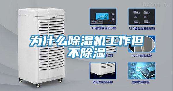 为什么猫咪成人官网工作但不除湿