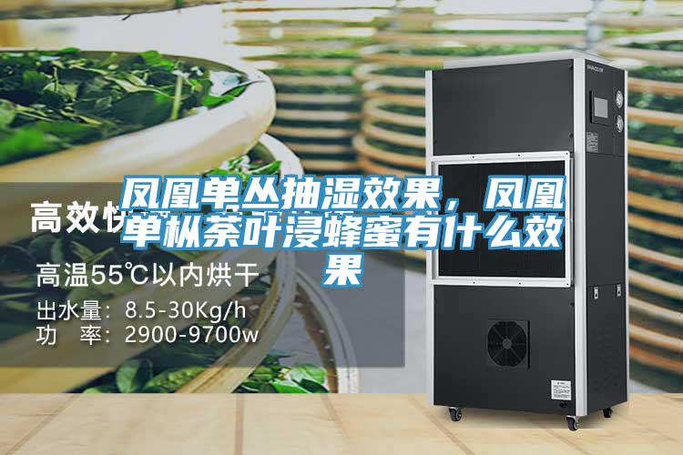 凤凰单丛抽湿效果，凤凰单枞荼叶浸蜂蜜有什么效果