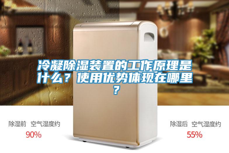 冷凝除湿装置的工作原理是什么？使用优势体现在哪里？