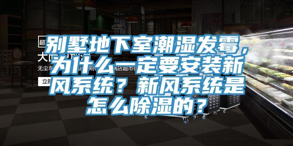 别墅地下室潮湿发霉，为什么一定要安装新风系统？新风系统是怎么除湿的？
