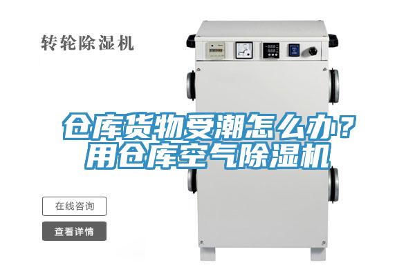仓库货物受潮怎么办？用仓库空气猫咪成人官网