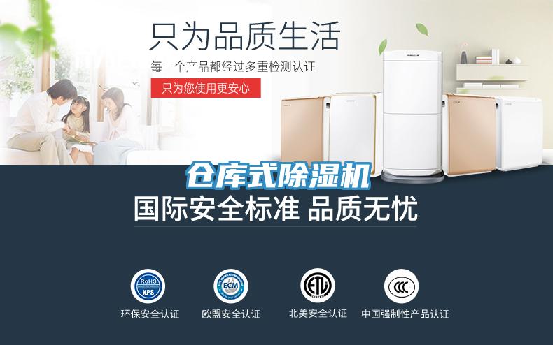 仓库式猫咪成人官网