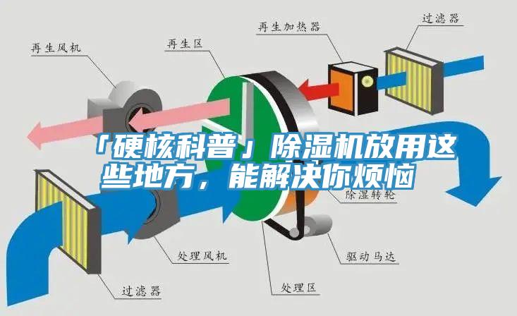 「硬核科普」猫咪成人官网放用这些地方，能解决你烦恼
