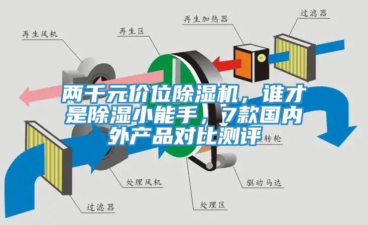 两千元价位猫咪成人官网，谁才是除湿小能手，7款国内外产品对比测评