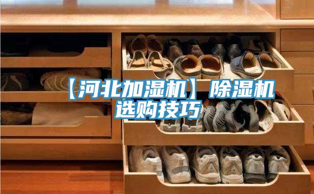 【河北加湿机】猫咪成人官网选购技巧
