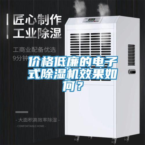 价格低廉的电子式猫咪成人官网效果如何？