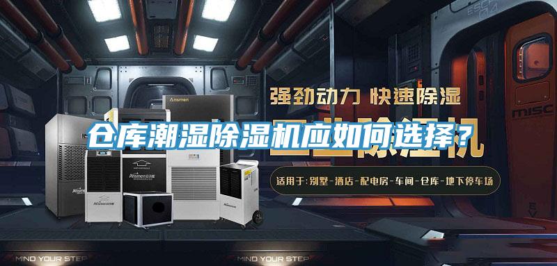 仓库潮湿猫咪成人官网应如何选择？