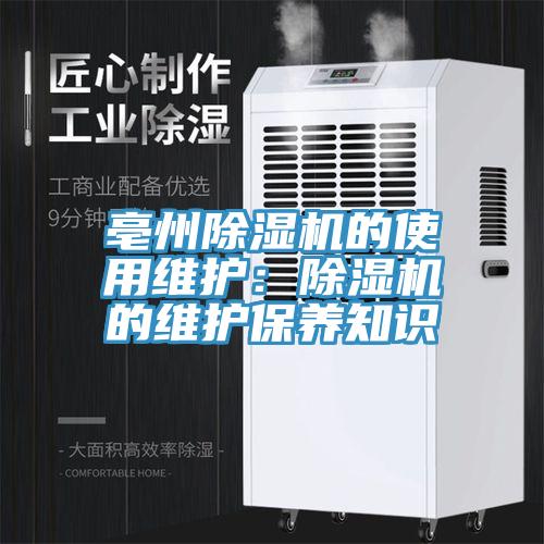 亳州猫咪成人官网的使用维护：猫咪成人官网的维护保养知识