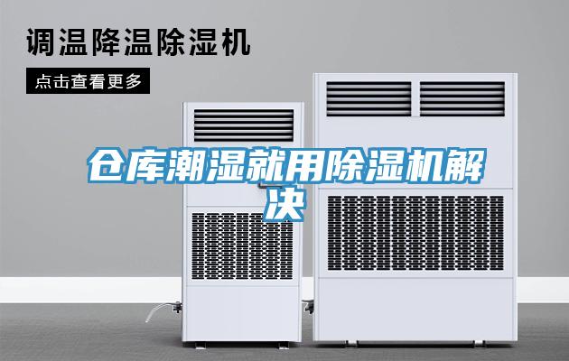 仓库潮湿就用猫咪成人官网解决