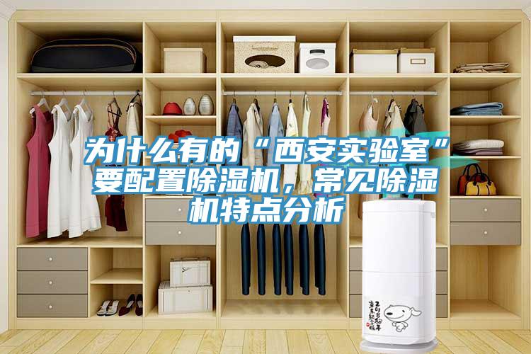 为什么有的“西安实验室”要配置猫咪成人官网，常见猫咪成人官网特点分析
