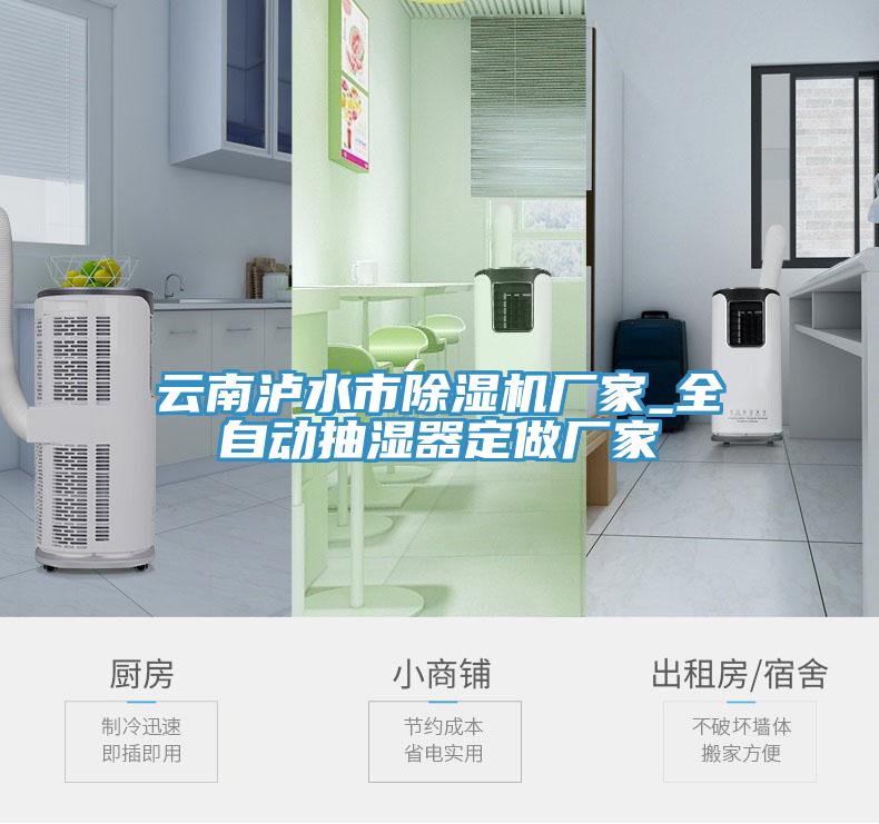 云南泸水市猫咪成人官网厂家_全自动抽湿器定做厂家